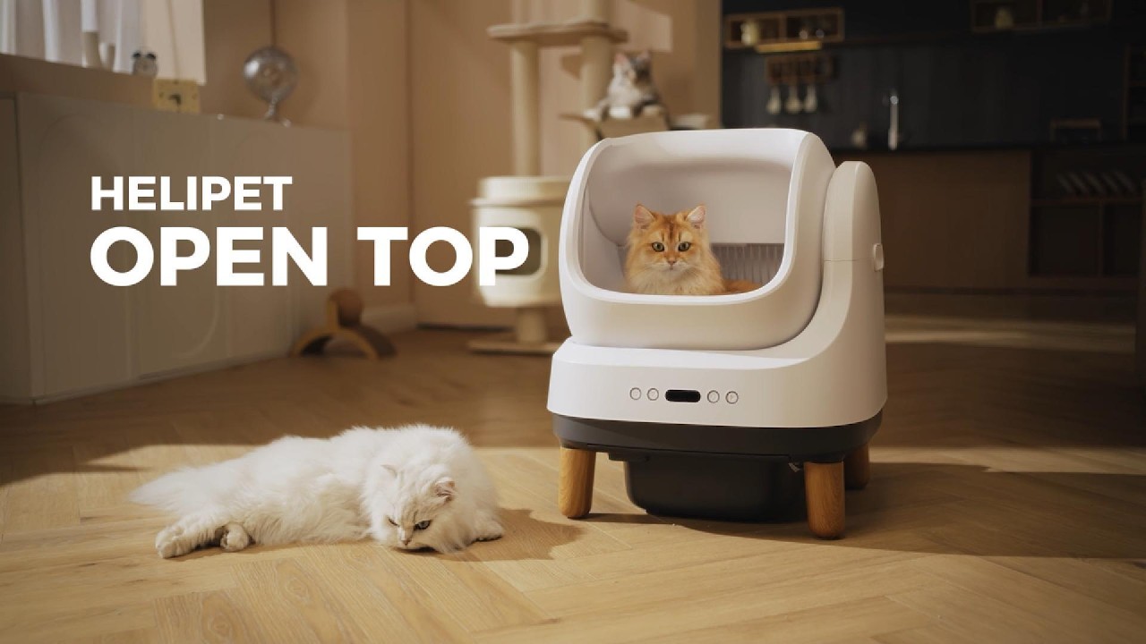 Máy dọn vệ sinh mèo HeLiPet Open Top