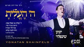 ה' העלית I יונתן שינפלד Hashem heelita I Yonatan Shainfeld