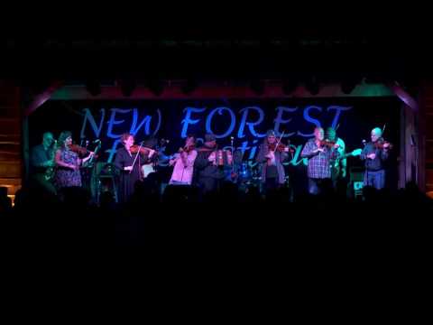 Pirates of the Caribbean, Feast Of Fiddles  New Forest Folk Festival 2016