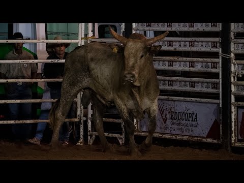 DISPUTA FINAL em TOUROS | Rodeio de BRASILÂNDIA DO SUL-PR 2025