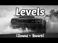 Levels Slowed Reverb Sidhu Mose Wala Attitude Remix Bass Boosted
