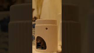 The Ultimate Guide to Troubleshooting Your Essential Oil Diffuser