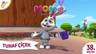 13. Bölüm - TUHAF ÇİÇEK