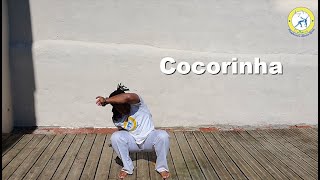 Cocorinha