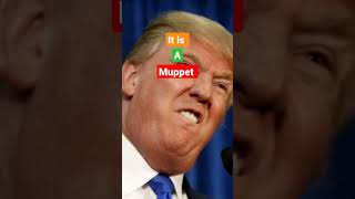 Donald Tramp. a Muppet