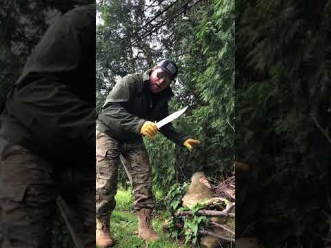 Timber Wolf Ocean Raider Bowie Knife Full Review