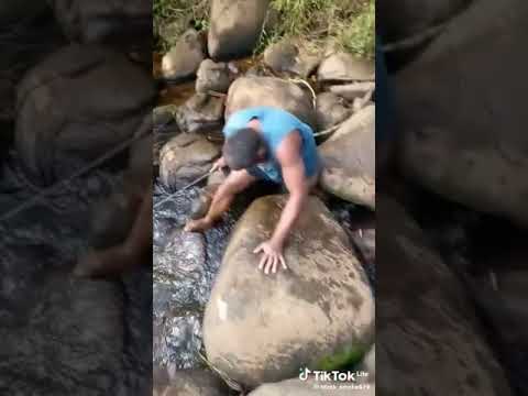 Fijian🇫🇯🇫🇯 Eel from the Highlanders Of Naitasiri