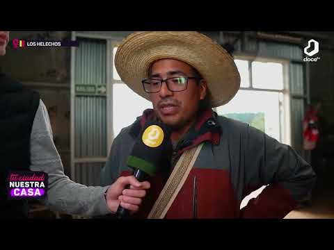 #TUCIUDADNUESTRACASA: feria de semillas en la EFA de Los Helechos