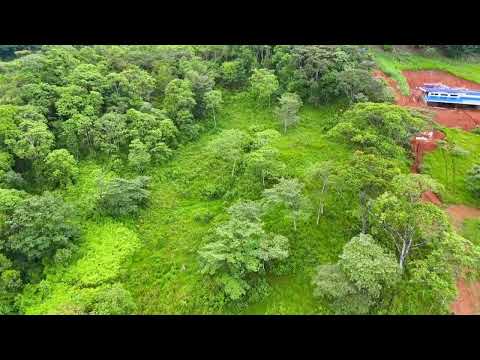 img-video