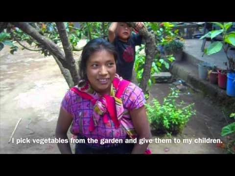 Help Marta provide healthy food for her children