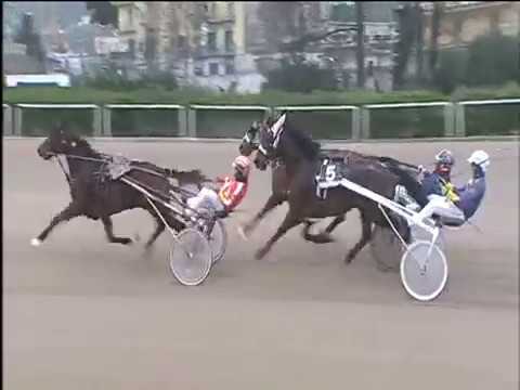 Trotto 09/01/2018 - 2ª corsa