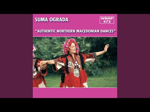 Ibraim Odza (Titov Veles)