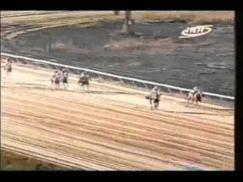 Resumen Viernes, 24 de Enero de 2014 - Valencia