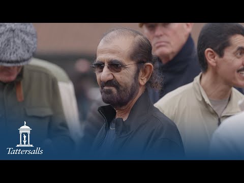 Tattersalls October Yearling Sale Book 1 Day 1 2025 Review