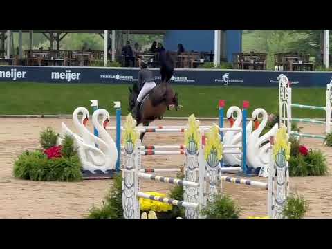 In foal to Nadim il Faut