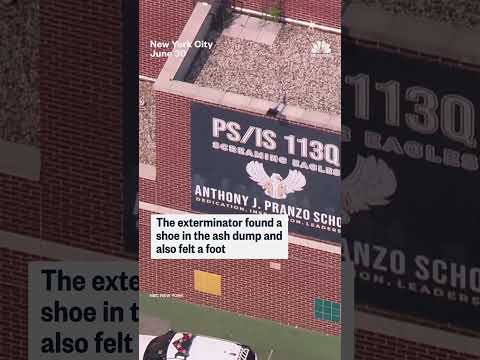 Body found in NYC school chimney