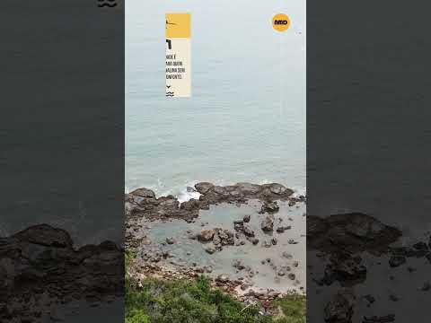 ESSA DESCIDA TERMINA NO MAR! VOCÊ FARIA? 🌊😳