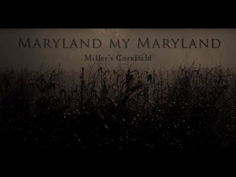 Civil War battle of Antietam - The fight in Miller's Cornfield