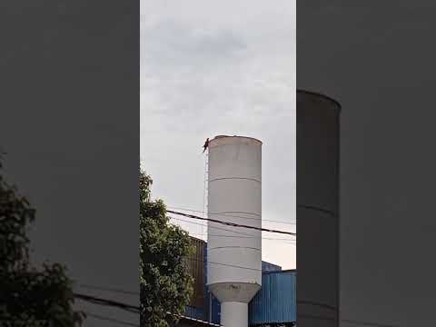 belas araras em sorriso Mato Grosso