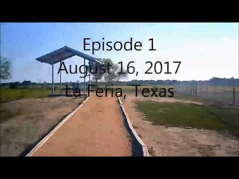 La Feria Nature Center - Nest of Poliwags