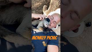 Is this the Perfect Weekend?!🐒☺️