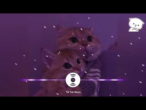 EDM -jomblo-lagi-remix