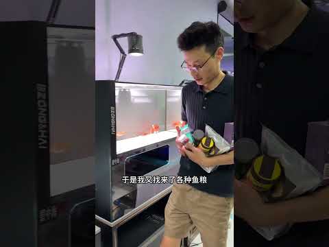 河里捞回来的鱼苗变少了，它们不吃饲料，反而炼化同类 #水族 #饲养员日常
