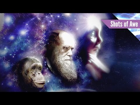 We Are An Evolutionary Force