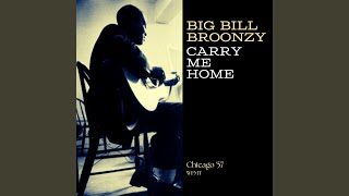 Down By The Riverside (feat. Sonny Terry &amp; Brownie McGhee) (Live)