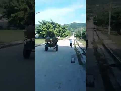 FLORENCIA REVERDECERÁS , un pedacito de cada barrio que visitamos..