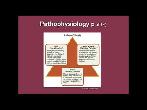 2019 01 23 Ch 14 Advanced EMT Class