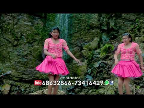 Los traficos del amor y las Maripositas -Vida caraspita ( video oficial) aguila records 2017