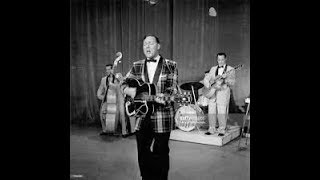 Bill Haley &amp; His Comets - Two Hound Dogs