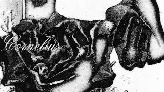 Cornelius New Release Information