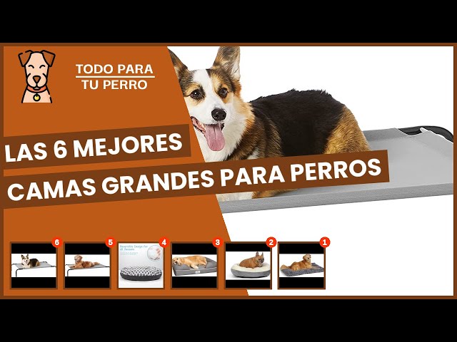 Vídeo relacionado con Nobleza Cama Perro Grandes, Cama para Perro Lavable, Cama de Perros Medianos Antideslizantes con Relleno de Fibras Super Suave, Cama para Mascotas Pequeños, 77 * 67cm