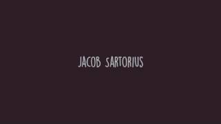 Jacob Sartorius -Last text (official lyric video)