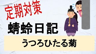 蜻蛉 日記 うつろ ひたる 菊 現代 語 訳 Watch Hd Mp4 Videos Download Free