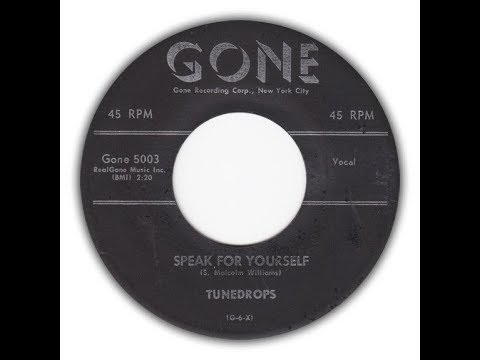 THE TUNEDROPS - Speak For Yourself