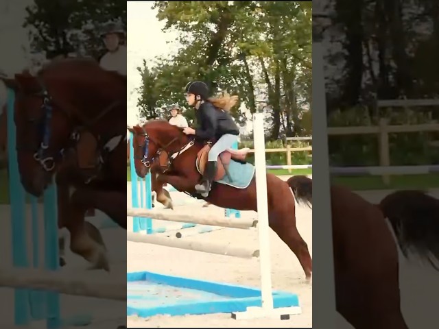 KENTUCKY : sous le sapin