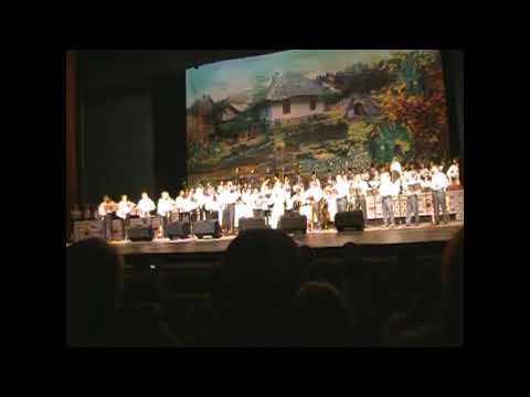 Sandu Rotaru  - Joc Moldovenesc