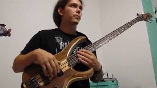 Primus - Power Mad (Bass Cover)