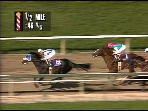 1993 Breeders' Cup Classic