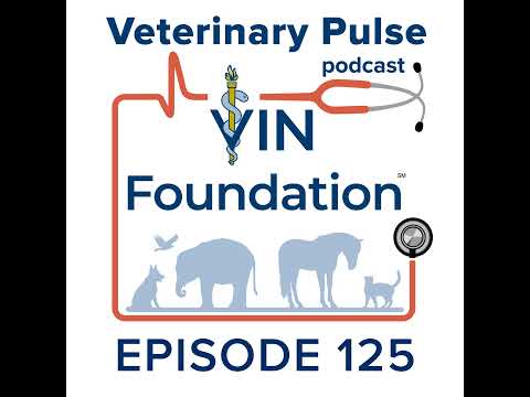 Dr. Andrew Lee on recognizing red flags and not letting ... - YouTube