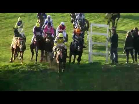 VIDEOOHLÉDNUTÍ ZA 125. Velkou pardubickou steeplechase s Českou pojišťovnou 2015