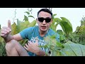 🍉 НОВАЯ ФЕЙК РАСПРОДАЖА: НА Алиэкспресс ✅ (Aliexpress) ГОРЯЩИЕ ТОВАРЫ как успеть?