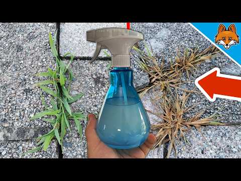 Grannarna FÖRBLÖFFAS över hur ENKELT jag tar bort ogräs💥(Genialt trick)🤯
