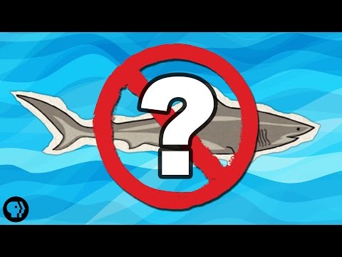 What If There Were No Sharks?