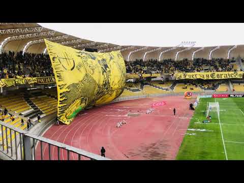 "Barra Al Hueso Pirata vs Temuco 19/10/21" Barra: Al Hueso Pirata &bull; Club: Coquimbo Unido &bull; País: Chile