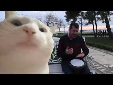 Cat Vibing to levan polkka meme for 10 hours