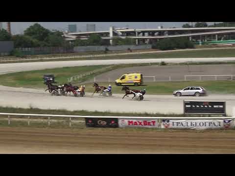 Trka "Harness & breeding stable Kovačević” 3.7.2022. Solvalino - Zoran Petrović
